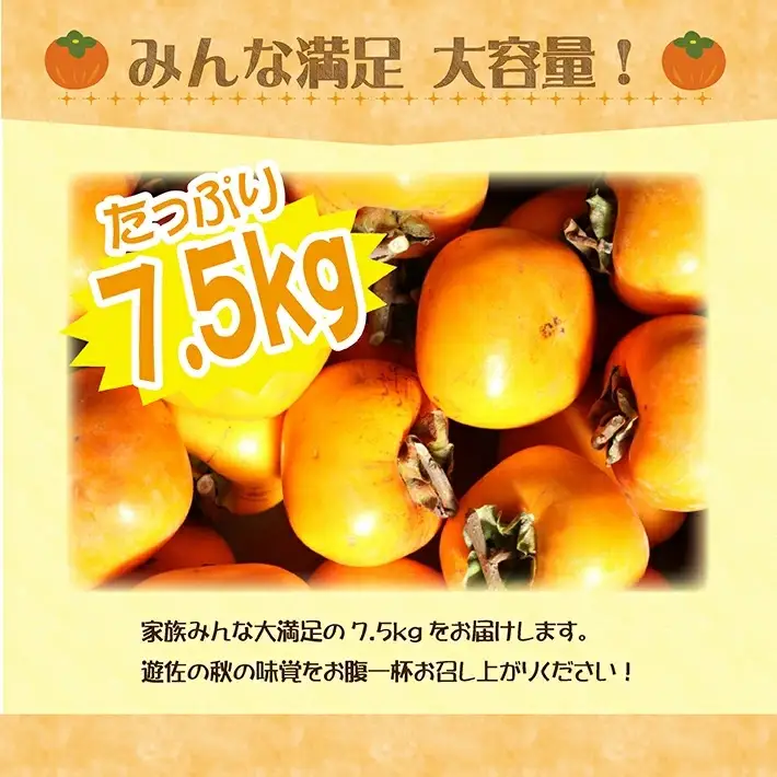 庄内柿 7.5kg 山形県遊佐町産 10月下旬～11月中旬頃お届け ※着日指定不可 東北 山形県 遊佐町 庄内地方 柿 カキ かき 種なし 種無し 平核無柿 [1223]