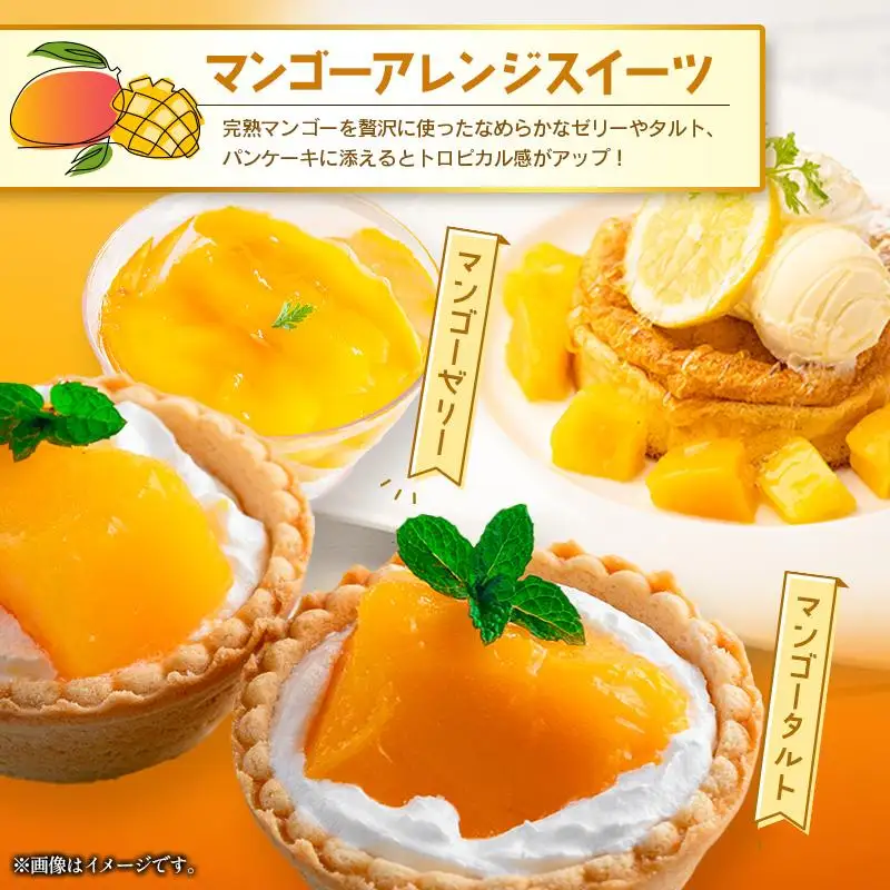 定期便 完熟マンゴー 2L×2玉 & 宮崎ブランド牛 計1kg 全2回 宮崎特産 牛肉 フルーツ 果物