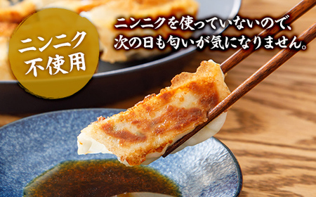 【食感と昆布だしにこだわり】 【3回定期便】お酒によく合う野菜餃子40個(10個×4箱) ※沖縄・離島への配送不可
