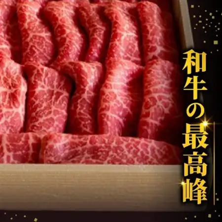 三河牛(黒毛和種)A5等級モモすき焼き用600g　直営巴山牧場産【配送不可地域：離島】【1200675】