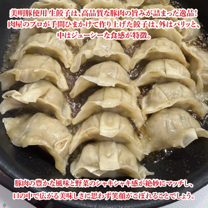 【数量限定】肉屋が作る美明豚生餃子24個入 3パック（MJ-6）