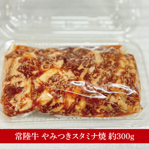 【数量限定】たっぷり大満足！牛肉＆豚肉バラエティセット（MJ-8）