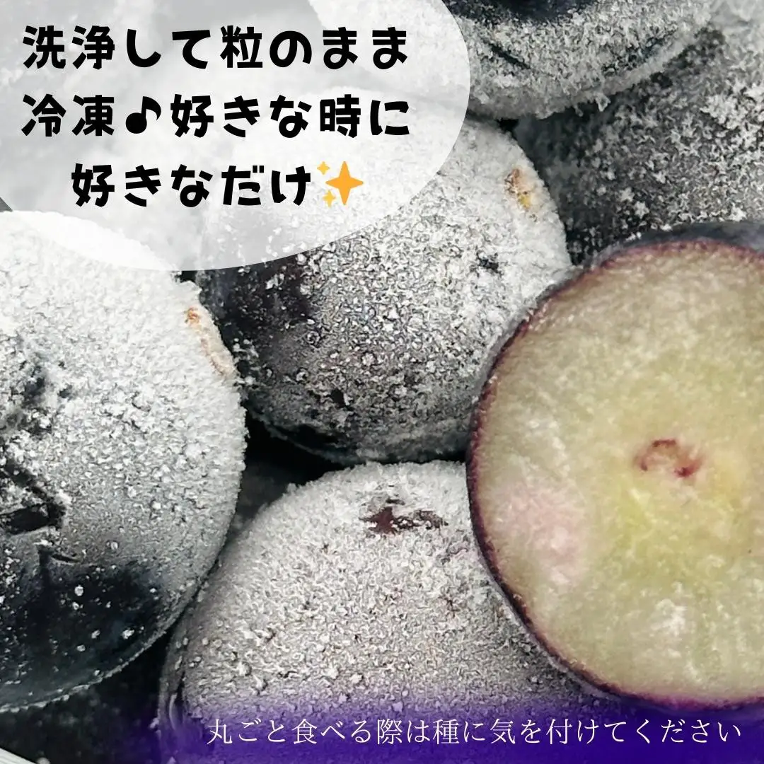 冷凍 種あり 巨峰 約1kg 秀優混合 サイズミックス 和歌山県産 産地直送 ぶどう クール便  【みかんの会】  巨峰