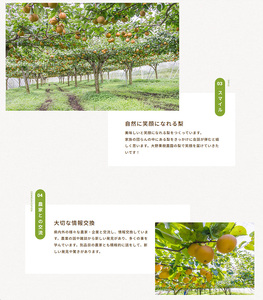 8-7 栃木県那須烏山産にっこり梨100％ジュース2本セット