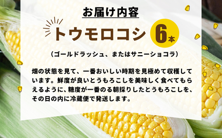 【先行予約】井本農園の朝採れとうもろこし 6本 とうもろこし