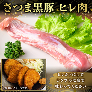 K-484-B 鹿児島県産さつま黒豚 ヒレ肉(計600g)【ふるさと産直バザール】霧島市 ヒレ肉 黒豚 国産 鹿児島県産 肉 精肉