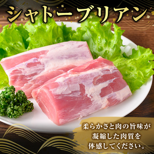 K-485-B 鹿児島県産さつま黒豚 シャトーブリアン(計600g)【ふるさと産直バザール】霧島市 シャトーブリアン ヒレ肉 黒豚 国産 鹿児島県産 肉 精肉