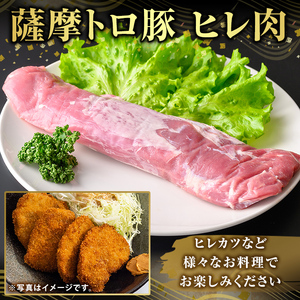 K-486-C 鹿児島県産 薩摩トロ豚 ヒレ肉(計800g)【ふるさと産直バザール】霧島市 ヒレ肉 国産 鹿児島県産 肉 精肉