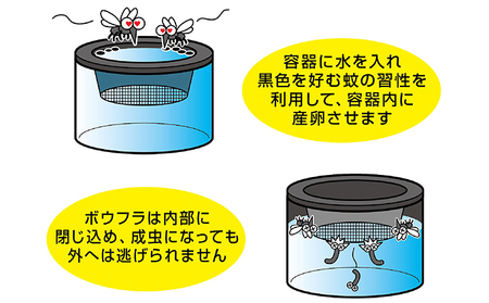 ボウフラストッパー「出ちゃい缶」（スタンダードタイプ）6個セット 雑貨 日用品 