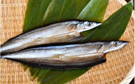 さんま干物6セット【uosk0028A】