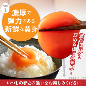 【3ヶ月定期便】【山ちゃん家の生みたて葉酸たまご】名古屋コーチン卵（30個入り）［132Y01-T］
