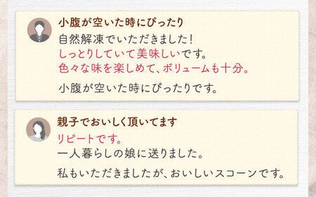 スコーン 12個セット 季節のスコーン 冷凍 個包装 BCAE003