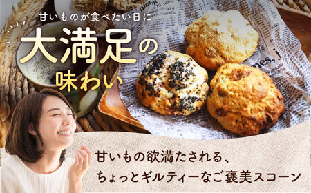 【全3回定期便】厳選おすすめ スコーン 12個セット  BCAE011 スイーツ