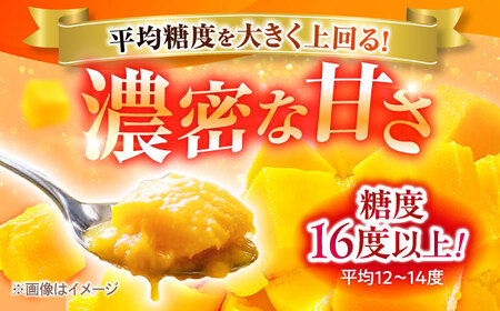 【先行予約】マンゴー 贈答用 2kg (3-5玉) BCAN002