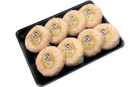 あぐー豚 ハンバーグ 800g (100g×8個) 沖縄県産あぐー BCAZ001