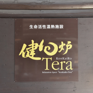 【申込２回目以降】健回炉Tera フクロダ 入浴券（1名様分）生命活性温熱施設 ホルミシス温浴 陶板浴｜茨城県 大子町 袋田 入浴チケット 体験チケット サウナ 岩盤浴 リラクゼーション 10000円以下（CQ001）