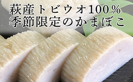 季節限定 焼き抜き蒲鉾「飛魚」8本【化粧箱入】（萩産鮮魚とびうお100％）