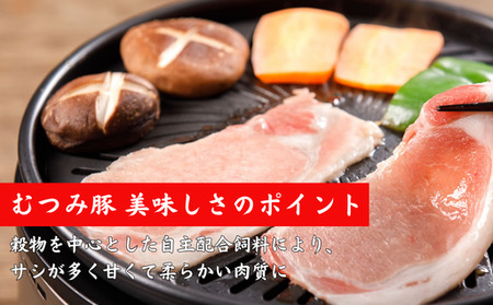 萩むつみ豚 トンカツ用ロース肉 120g×5枚