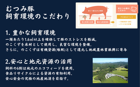 萩むつみ豚 ハンバーグ 180g×5個