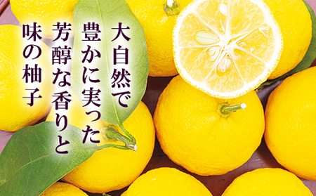 柚子屋のゆず茶3本セット 420g×3本 /飲料 柚子 フルーツドリンク ギフト