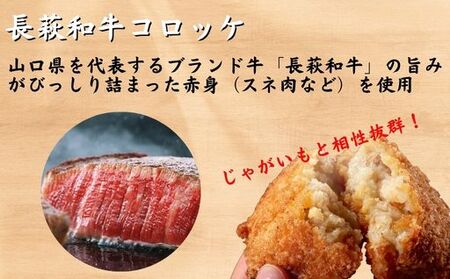 コロッケ 10個 セット (長萩和牛コロッケ 5個&むつみ豚コロッケ 5個)  冷凍 惣菜