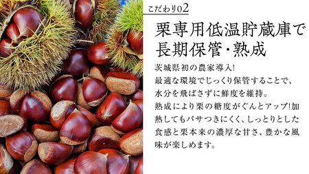 熟成で糖度の上がった 粗むき栗 800g (200g × 4) ( 冷凍真空包装 ) 