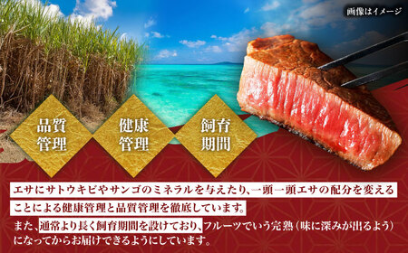 サーロインステーキ 【全12回定期便】【数量限定】沖縄和牛 佐渡山牛 サーロイン＆希少部位 ステーキ肉 500g  BCBC016 牛肉