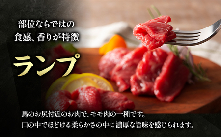 本場 熊本特産 ふじ馬刺し上級赤身 3種 と ユッケ ネギトロ の 詰め合わせ 道の駅竜北  熊本県 氷川町 肉 馬肉 国産 赤身 上赤身 ロース ランプ ユッケ ネギトロ 馬肉 赤身 ふじ馬刺し セット 食べ比べ