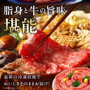 近江牛（A5）肩ロースすき焼・しゃぶしゃぶ用500g　近江牛 A5 肩ロース すき焼 しゃぶしゃぶ用 500g たれ付き 霜降り 和牛 濃厚 旨み 脂 甘さ 風味 国産牛 牛肉 小分け 個別包装 贈答用 DY-0001