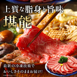 近江牛（A5）ロースすき焼・しゃぶしゃぶ用600g　近江牛 A5 ロース すき焼 しゃぶしゃぶ用 600g たれ付き 霜降り 和牛 濃厚 旨み 脂 甘さ 風味 国産牛 牛肉  個別包装 贈答用 DY-0002