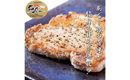 ハンバーグ 沖縄県産 あぐー豚 ハンバーグ・ステーキセット 計900g  BCAZ004 肉