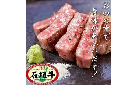 ハンバーグ 沖縄県産 石垣牛 ハンバーグ・ステーキセット 計600g  BCAZ005 肉