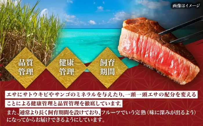 牛肉 焼肉 【全3回定期便】【厳選！おすすめ部位】沖縄和牛 佐渡山牛 切り落とし 500g  BCBC008