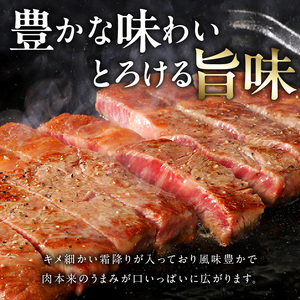 近江牛（A5）ロースすき焼・サーロインステーキセット1kg　近江牛 A5 ロース すき焼用 たれ付き 霜降り 牛肉 旨み とろける サーロイン ステーキ ステーキ醤油 岩塩 あら切りわさび付き 和牛 国産牛 個別包装  DY-0003