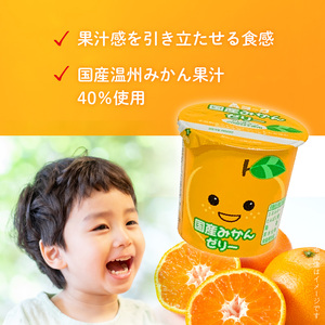 【3ヶ月定期便】愛知ヨーク　国産みかんゼリー　20個入［108A03-T］