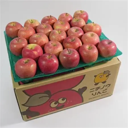 【26年11月～12月発送】平均糖度13度以上! 蜜入り 葉とらずサンふじ 約10kg おもてなし用_果物・フルーツ りんご  リンゴ 林檎_【配送不可地域：離島・沖縄県】【1612856】