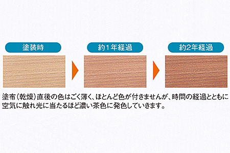 桐たんす 柿渋染め総桐着物収納ケース2段：B750-004