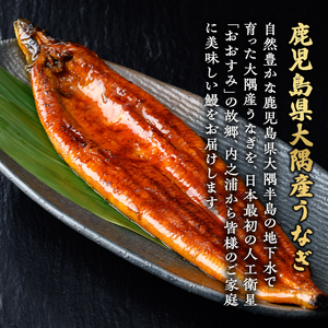 【B57003】土用の丑の日 特大うなぎ 蒲焼 有頭 (3尾 計555g以上 タレ・山椒付) 国産 大隅産 鰻 蒲焼き【一般社団法人きもつき宇宙協議会】