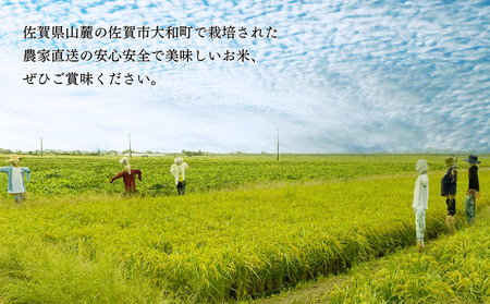 佐賀県大和産「ひのひかり」5kg×2袋 米 農家直送：B320-018