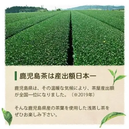 【2026年5月以降発送】浅蒸し煎茶(50g×2袋)【若蒸し煎茶】【合計100g】X0-16_飲料・ドリンク 茶葉・ティーバッグ 茶 _【配送不可地域：離島】【1611606】