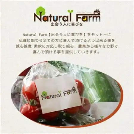 ジンジャーシロップ(150g×2個)【非加熱発酵】【優しい甘さの生姜シロップ】【米入り】A3-369_調味料   _【配送不可地域：離島】【1611647】