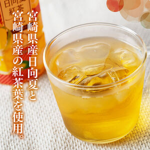 【3ヶ月定期便】サンA 日向夏 紅茶 HINATA TEA 500mlＰＥＴ 24本 入り×2ケース 【飲料 日向夏 紅茶 PET セット ジュース 長期保存 送料無料】