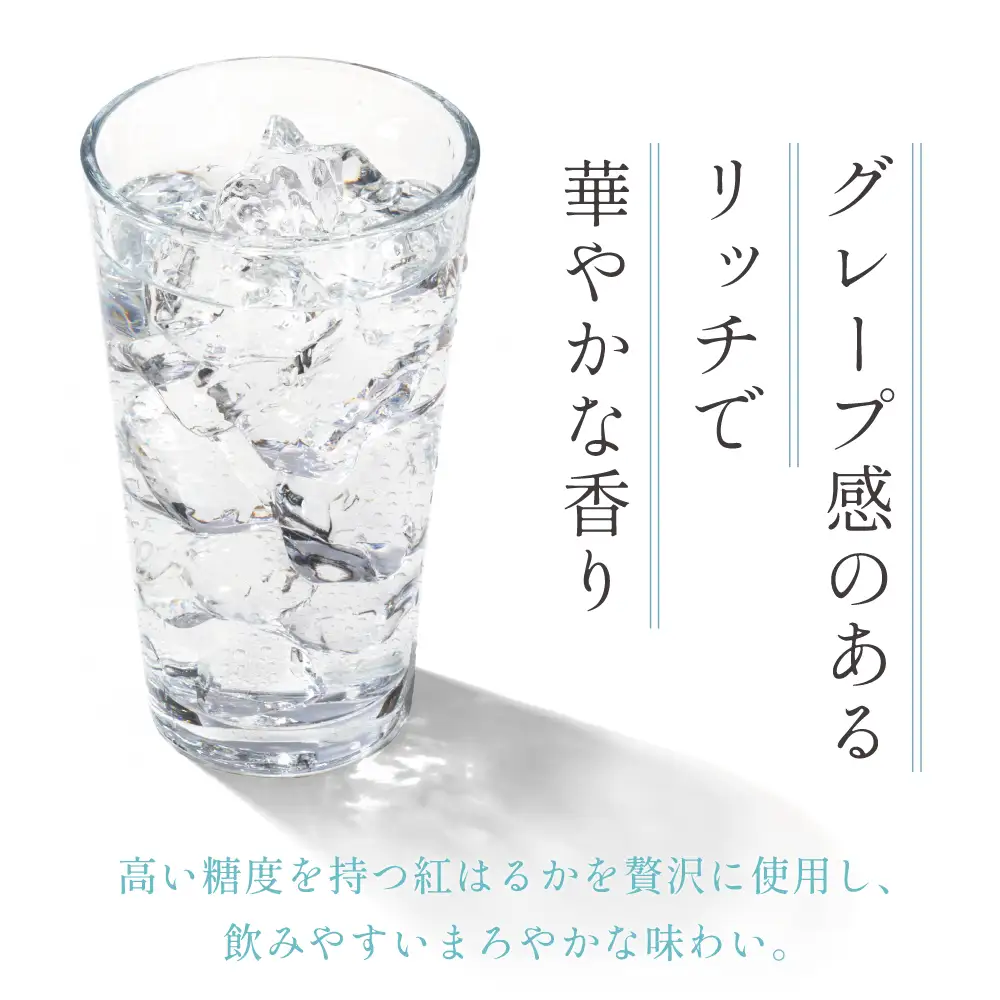 本格芋焼酎 「OPNIK」500ml 33% 1本 いも焼酎 芋焼酎 お酒 鹿児島 ロック ハイボール 内祝い 贈答用 ギフト 南さつま市