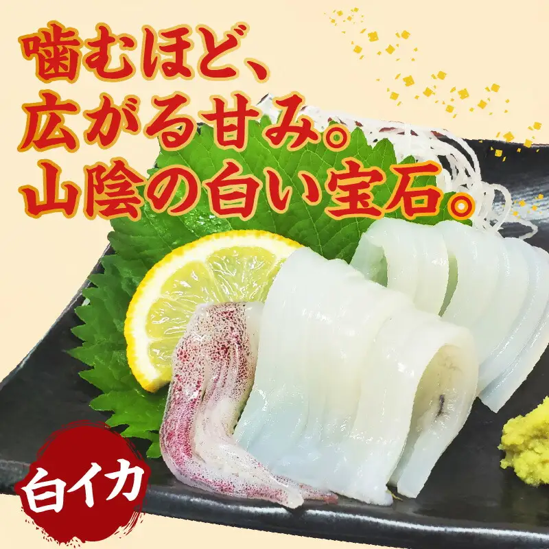 イカ お刺身用 白イカむき身 350g 74-05