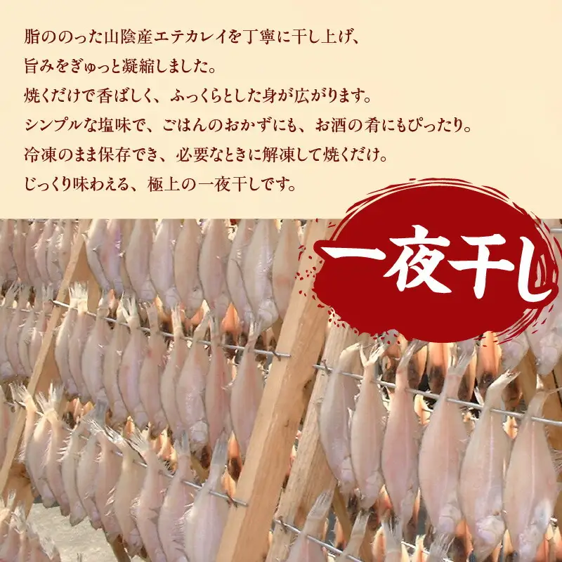 魚 エテカレイ 一夜干し 6枚 干物 下処理不要 74-11