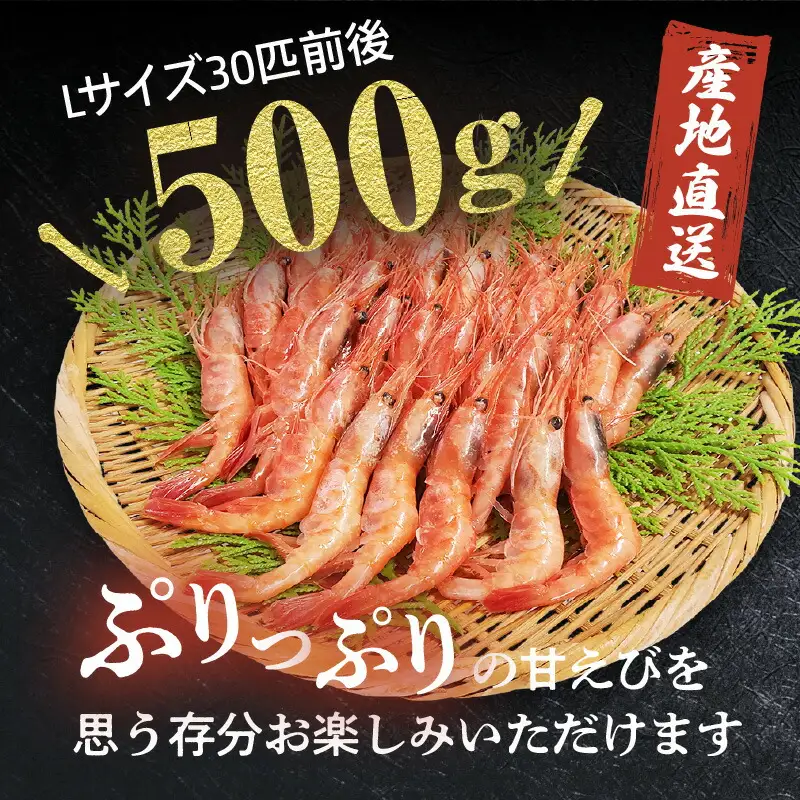 お刺身用 甘エビ Lサイズ 30匹前後 500g以上 冷凍 甘えび  74-16