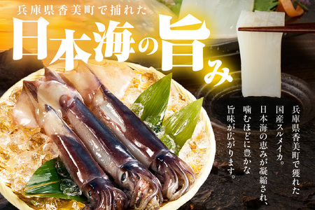 【訳あり】スルメイカ たっぷり 約1kg サイズ不揃い 冷凍 いか  74-17