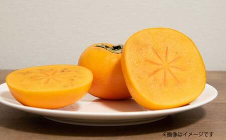 博多 秋王 8～12玉 柿 甘柿 果物 フルーツ お取り寄せ 福岡県産 九州 【2026年10月上旬から11月上旬まで順次発送予定】