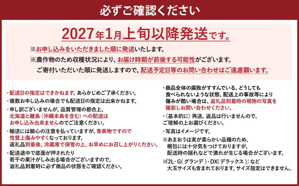【予約受付】大容量 あまおう 1,400g 大粒 不揃い 選べる大容量あまおう （2L,グランデ,DX デラックス）減農薬 あまおう いちご 高級 いちごあまおう イチゴ 苺 フルーツ 果物 ふるさと納税くだもの amaou 福岡県 【2027年1月上旬～1月下旬発送予定】