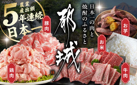 あとからセレクト【ふるさとギフト】１万円_ASG-10000_(都城市) 後から選べる返礼品 ギフト ギフトポイント カタログ カタログギフト 選べるカタログ あとから選べる あとから セレクト ギフト券 お取り寄せ ふるさとギフト